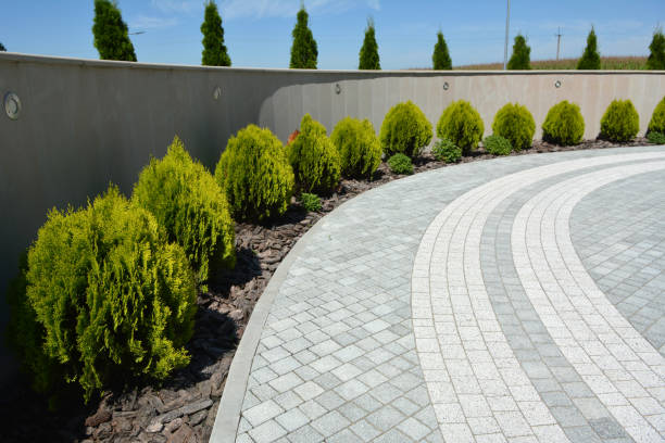 Best Driveway Repair Near Me  in Wmette, IL